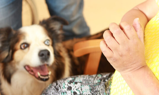 Tiergestützte Therapie